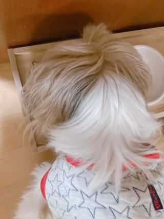 엘리오복숭아님이 올린 리뷰 사진 3
