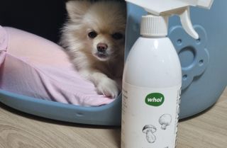 명샘님이 올린 리뷰 사진 4