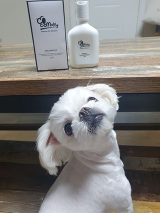 블랑쉬님이 올린 리뷰 사진 2