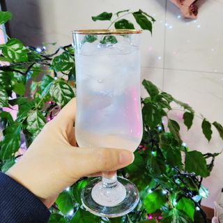 싱하소다워터 싱하레몬소다 — 5점을 준 리뷰어가 2021년 12월 올린 사용 사진