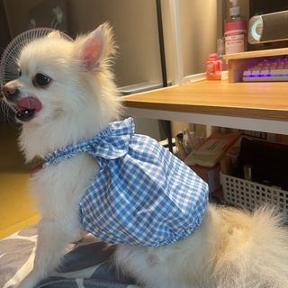 영콩님이 올린 리뷰 사진 2