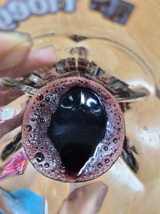 귀연정님이 올린 리뷰 사진 3
