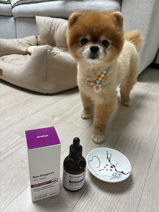 다미블리님이 올린 리뷰 사진 4