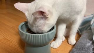 momoa님이 올린 리뷰 사진 2
