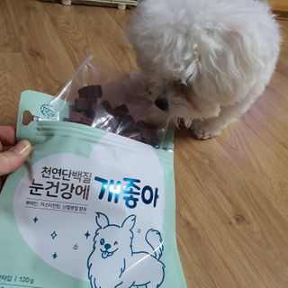 My Pet Care 천연단백질 눈건강에 개좋아 — 5점을 준 리뷰어가 2021년 2월 올린 사용 사진