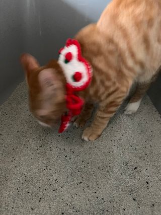 오잉님이 올린 리뷰 사진 4