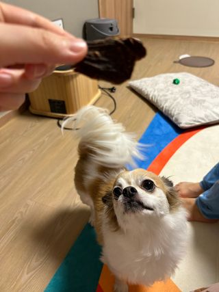 장효정님이 올린 리뷰 사진 1