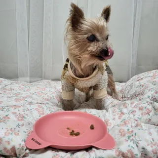 솜희님이 올린 리뷰 사진 1