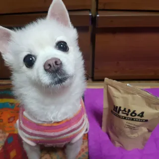 [보헤리] 국내산 강아지 육포간식 바삭 64 2종 — 4점을 준 리뷰어가 2022년 4월 올린 사용 사진