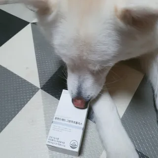 메디타민 원헌드레드 그린프로폴리스 — 5점을 준 리뷰어가 2021년 9월 올린 사용 사진