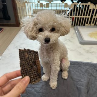지영님이 올린 리뷰 사진 2