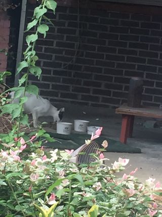 까꿍님이 올린 리뷰 사진 4