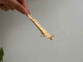 [펫시밀] 원물그대로 강원도 인제군 용대리 무염황태채 60g 강아지 고양이 프리미엄 수제간식 — 5점을 준 리뷰어가 2023년 11월 올린 사용 사진