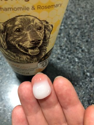쫑쫑님이 올린 리뷰 사진 2