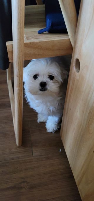 전소민님이 올린 리뷰 사진 3