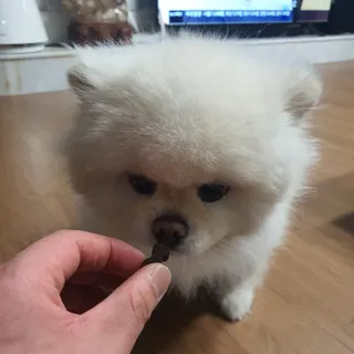 K케이님이 올린 리뷰 사진 1