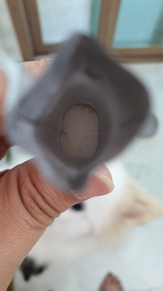 프리마인 유산균 국가지정연구소 선정, 살아있는 생유산균 200억 마리의 힘. 유산균n굿바이옴플러스 — 5점을 준 리뷰어가 2021년 9월 올린 사용 사진
