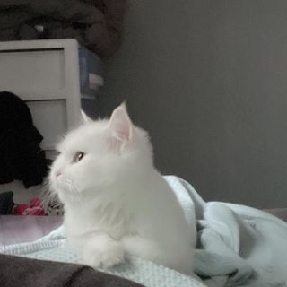 noname님이 올린 리뷰 사진 2
