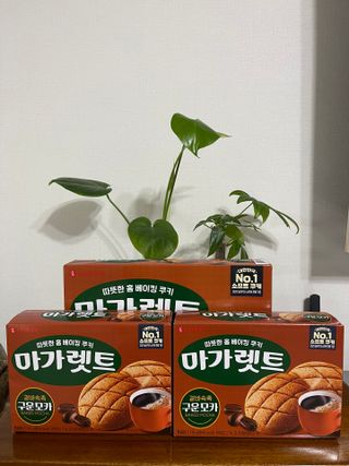 나은님이 올린 리뷰 사진 1