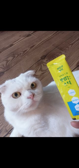 좋아님이 올린 리뷰 사진 3