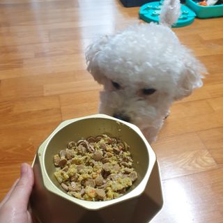 민동2님이 올린 리뷰 사진 3