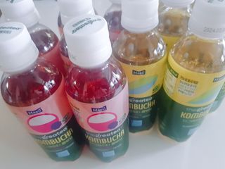 더그레잇티 콤부차 [매일유업] 더그레잇티 44kcal 콤부차 300ml *12개입 (오리지널 6개+베리리치 6개) — 5점을 준 리뷰어가 2023년 7월 올린 사용 사진