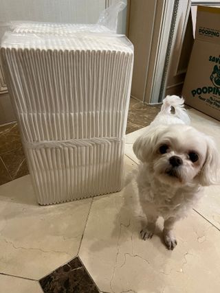 O_zl님이 올린 리뷰 사진 1