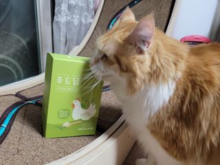 도그퓨어 푸드닭 강아지 닭고기 통살 애견간식 오리지널/차전자피/초록입홍합 — 4점을 준 리뷰어가 2021년 11월 올린 사용 사진