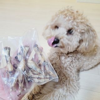 또롱님이 올린 리뷰 사진 4