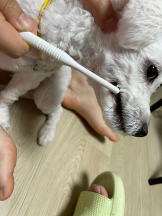 정주리님이 올린 리뷰 사진 3
