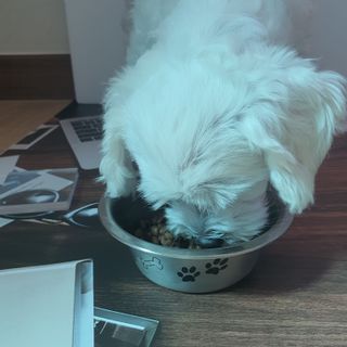 여늬님이 올린 리뷰 사진 3