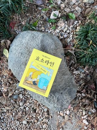 흥순이님이 올린 리뷰 사진 2