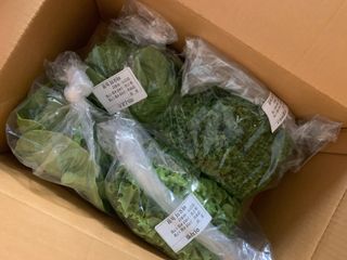 볼딱이엄마님이 올린 리뷰 사진 1
