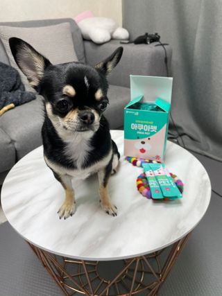 펫시랩 반려견용 액상 프리바이오틱스 아쿠아펫 — 4.5점을 준 리뷰어가 2021년 1월 올린 사용 사진