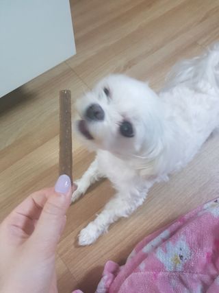 흐겸소님이 올린 리뷰 사진 3