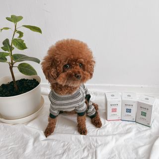 조이님이 올린 리뷰 사진 1