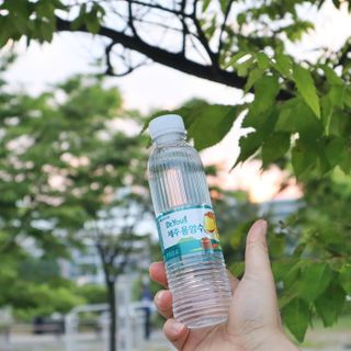 깡수님이 올린 리뷰 사진 4
