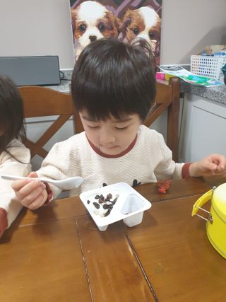 남양유업 또깍 접어 떠먹는 불가리스 2종 — 5점을 준 리뷰어가 2021년 1월 올린 사용 사진