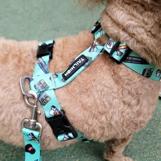 야토언니님이 올린 리뷰 사진 1