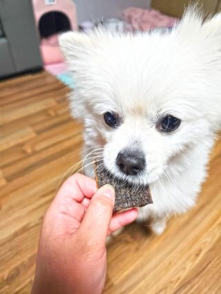 버킷송님이 올린 리뷰 사진 4