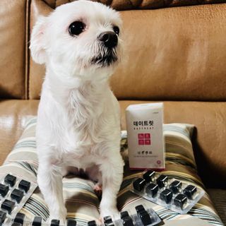 뽀히님이 올린 리뷰 사진 2