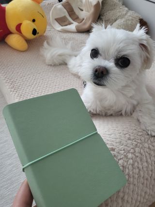 뽀오오옹님이 올린 리뷰 사진 1