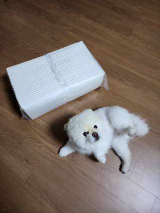 K케이님이 올린 리뷰 사진 2