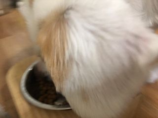 ㅇㅅㅇ님이 올린 리뷰 사진 3