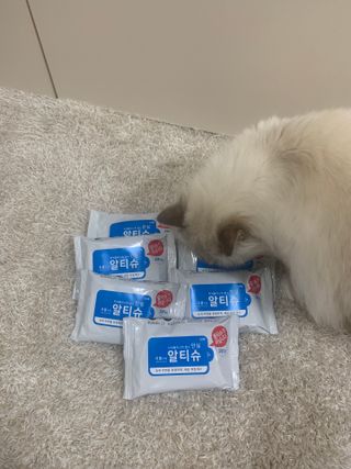 [엠메이데이] 안심 알티슈 20매 x 7 — 5점을 준 리뷰어가 2022년 1월 올린 사용 사진
