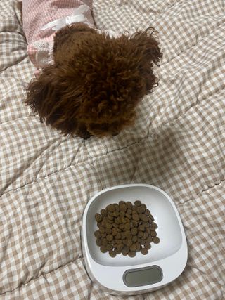 지은짱님이 올린 리뷰 사진 2