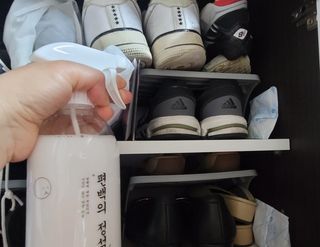 편백의정석 편백의 정석, 피톤치드스프레이 살균 천연 탈취제 집먼지 진드기 이불 침대 매트리스 새집중후군 천연 살균제 — 5점을 준 리뷰어가 2021년 3월 올린 사용 사진