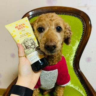 1sound님이 올린 리뷰 사진 1