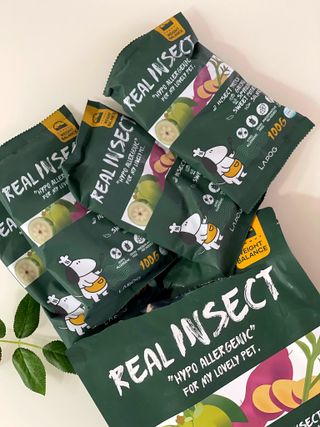 [푸디웜] 라포그  리얼인섹트 웨이트밸런스 저알러지 강아지 사료  1.2KG — 5점을 준 리뷰어가 2022년 7월 올린 사용 사진