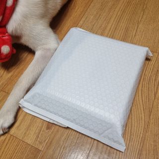 디어포레스트 [5개세트] 숲속의 하루 패브릭미스트 (섬유향수/ 룸스프레이) 50ml 5개 — 4.5점을 준 리뷰어가 2022년 9월 올린 사용 사진